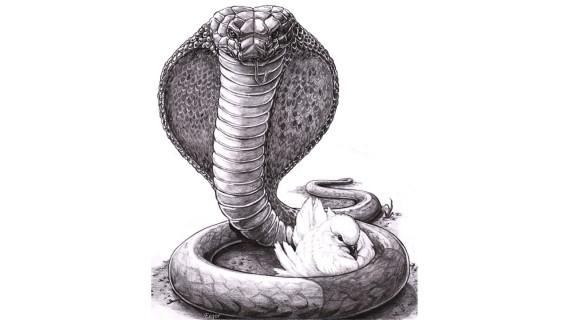 Wise as Serpents, Innocent as&nbsp;Doves
